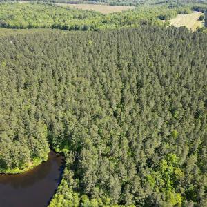 Photo #9 of SOLD property in Off E Indian Caves Rd, Nathalie, VA 20.4 acres