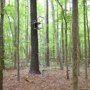 Photo #6 of SOLD property in 161 Crafford Road, Newport News, VA 3.9 acres