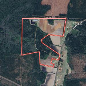 Photo #1 of 481 Nine Mile Rd, Maple Hill, NC 65.3 acres