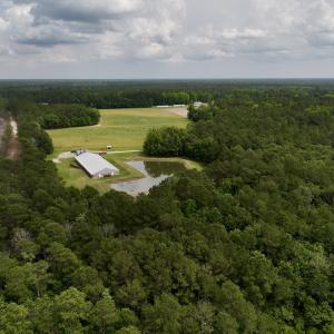 Photo #2 of 481 Nine Mile Rd, Maple Hill, NC 65.3 acres