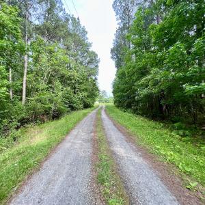 Photo #11 of 481 Nine Mile Rd, Maple Hill, NC 65.3 acres