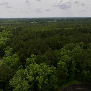 Photo #13 of 481 Nine Mile Rd, Maple Hill, NC 65.3 acres