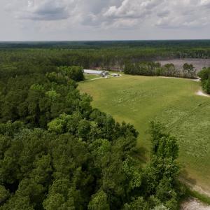 Photo #14 of 481 Nine Mile Rd, Maple Hill, NC 65.3 acres