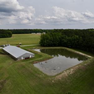 Photo #18 of 481 Nine Mile Rd, Maple Hill, NC 65.3 acres