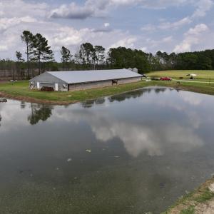Photo #20 of 481 Nine Mile Rd, Maple Hill, NC 65.3 acres