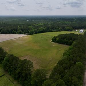 Photo #3 of 481 Nine Mile Rd, Maple Hill, NC 65.3 acres