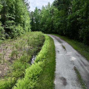 Photo #23 of 481 Nine Mile Rd, Maple Hill, NC 65.3 acres
