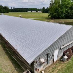 Photo #24 of 481 Nine Mile Rd, Maple Hill, NC 65.3 acres