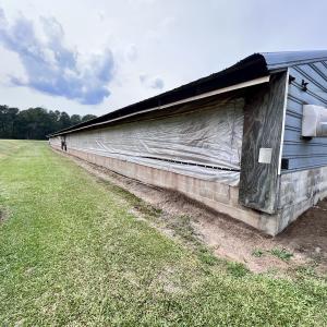 Photo #25 of 481 Nine Mile Rd, Maple Hill, NC 65.3 acres