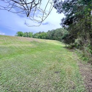 Photo #27 of 481 Nine Mile Rd, Maple Hill, NC 65.3 acres