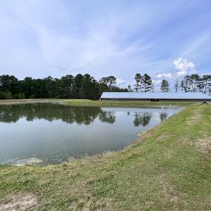 Photo #30 of 481 Nine Mile Rd, Maple Hill, NC 65.3 acres