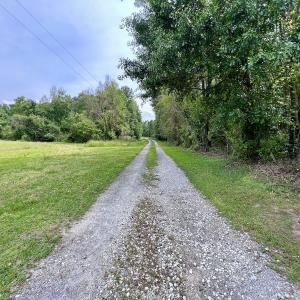 Photo #31 of 481 Nine Mile Rd, Maple Hill, NC 65.3 acres