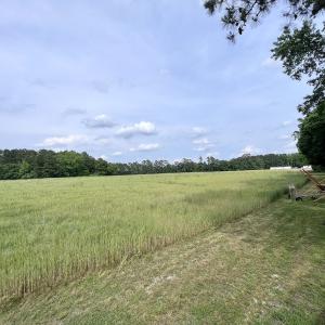 Photo #38 of 481 Nine Mile Rd, Maple Hill, NC 65.3 acres