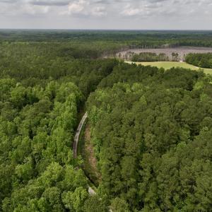 Photo #40 of 481 Nine Mile Rd, Maple Hill, NC 65.3 acres