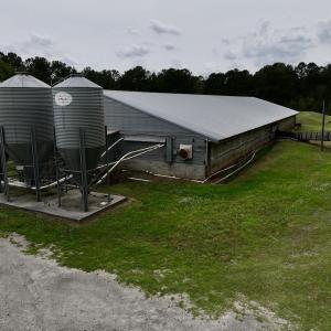 Photo #5 of 481 Nine Mile Rd, Maple Hill, NC 65.3 acres