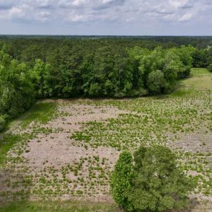 Photo #42 of 481 Nine Mile Rd, Maple Hill, NC 65.3 acres