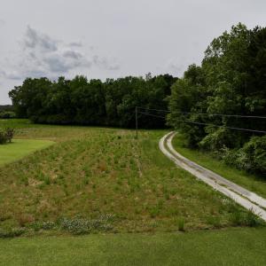 Photo #45 of 481 Nine Mile Rd, Maple Hill, NC 65.3 acres