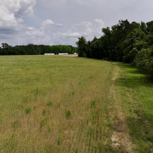 Photo #47 of 481 Nine Mile Rd, Maple Hill, NC 65.3 acres