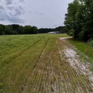 Photo #49 of 481 Nine Mile Rd, Maple Hill, NC 65.3 acres