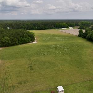 Photo #53 of 481 Nine Mile Rd, Maple Hill, NC 65.3 acres
