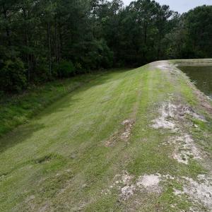 Photo #54 of 481 Nine Mile Rd, Maple Hill, NC 65.3 acres
