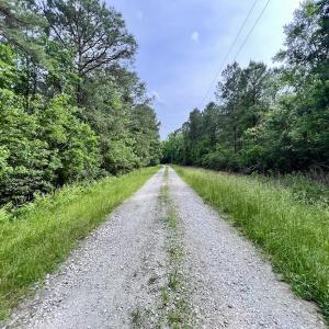 Photo #63 of 481 Nine Mile Rd, Maple Hill, NC 65.3 acres