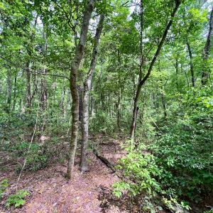 Photo #65 of 481 Nine Mile Rd, Maple Hill, NC 65.3 acres