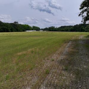 Photo #67 of 481 Nine Mile Rd, Maple Hill, NC 65.3 acres