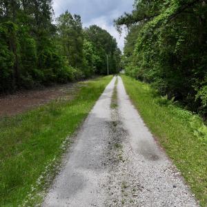 Photo #68 of 481 Nine Mile Rd, Maple Hill, NC 65.3 acres