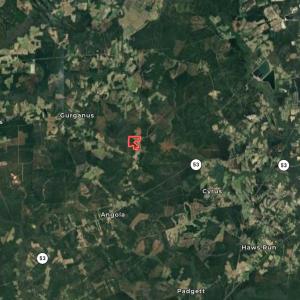 Photo #70 of 481 Nine Mile Rd, Maple Hill, NC 65.3 acres