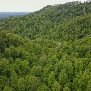 Photo #18 of SOLD property in Off Barton Spur Rd, Ferrum, VA 181.7 acres
