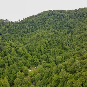 Photo #2 of SOLD property in Off Barton Spur Rd, Ferrum, VA 181.7 acres
