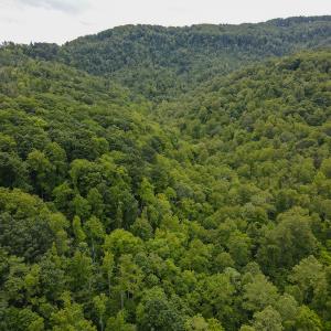 Photo #3 of SOLD property in Off Barton Spur Rd, Ferrum, VA 181.7 acres