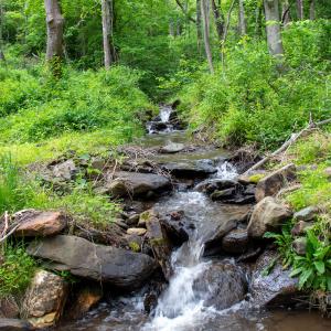 Photo #5 of SOLD property in Off Barton Spur Rd, Ferrum, VA 181.7 acres