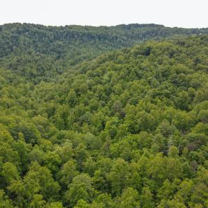 Photo #6 of SOLD property in Off Barton Spur Rd, Ferrum, VA 181.7 acres