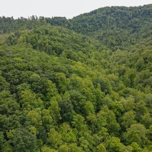 Photo #7 of SOLD property in Off Barton Spur Rd, Ferrum, VA 181.7 acres