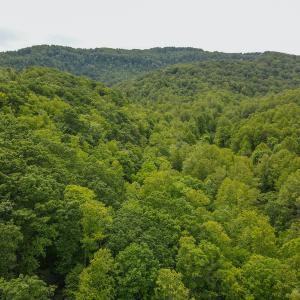 Photo #8 of SOLD property in Off Barton Spur Rd, Ferrum, VA 181.7 acres