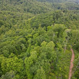 Photo #22 of SOLD property in Off Barton Spur Rd, Ferrum, VA 181.7 acres