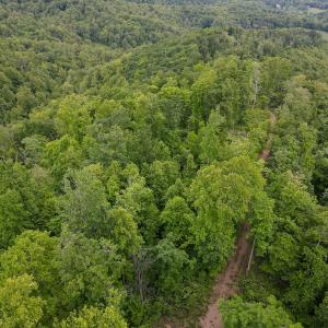 Photo #23 of SOLD property in Off Barton Spur Rd, Ferrum, VA 181.7 acres
