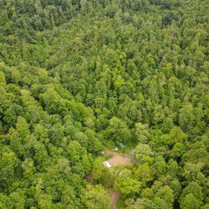 Photo #27 of SOLD property in Off Barton Spur Rd, Ferrum, VA 181.7 acres
