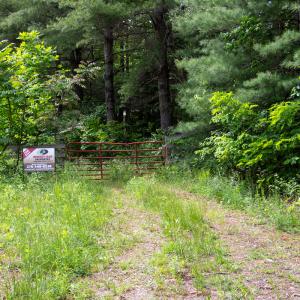 Photo #28 of SOLD property in Off Barton Spur Rd, Ferrum, VA 181.7 acres