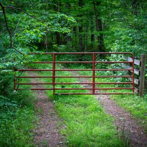 Photo #29 of SOLD property in Off Barton Spur Rd, Ferrum, VA 181.7 acres
