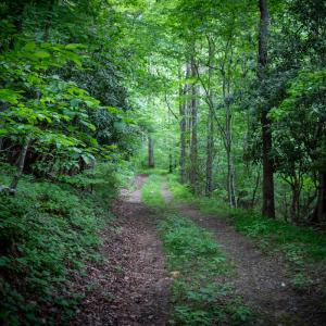 Photo #32 of SOLD property in Off Barton Spur Rd, Ferrum, VA 181.7 acres