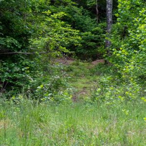 Photo #34 of SOLD property in Off Barton Spur Rd, Ferrum, VA 181.7 acres