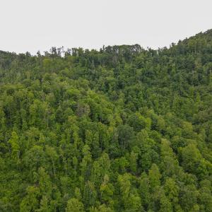 Photo #35 of SOLD property in Off Barton Spur Rd, Ferrum, VA 181.7 acres