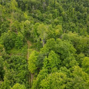 Photo #40 of SOLD property in Off Barton Spur Rd, Ferrum, VA 181.7 acres