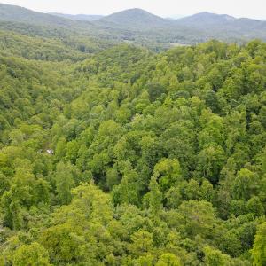 Photo #42 of SOLD property in Off Barton Spur Rd, Ferrum, VA 181.7 acres