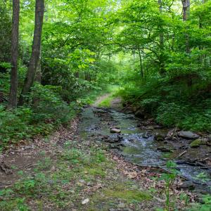 Photo #43 of SOLD property in Off Barton Spur Rd, Ferrum, VA 181.7 acres
