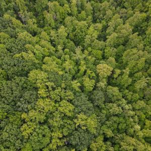 Photo #49 of SOLD property in Off Barton Spur Rd, Ferrum, VA 181.7 acres