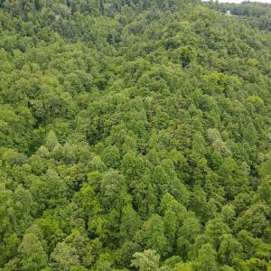 Photo #50 of SOLD property in Off Barton Spur Rd, Ferrum, VA 181.7 acres